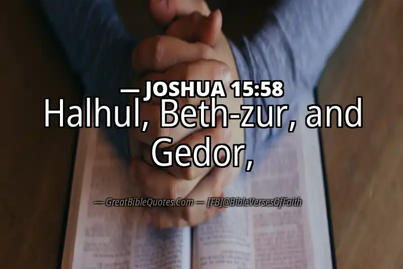 Bible verse: JOSHUA 15:58 Image