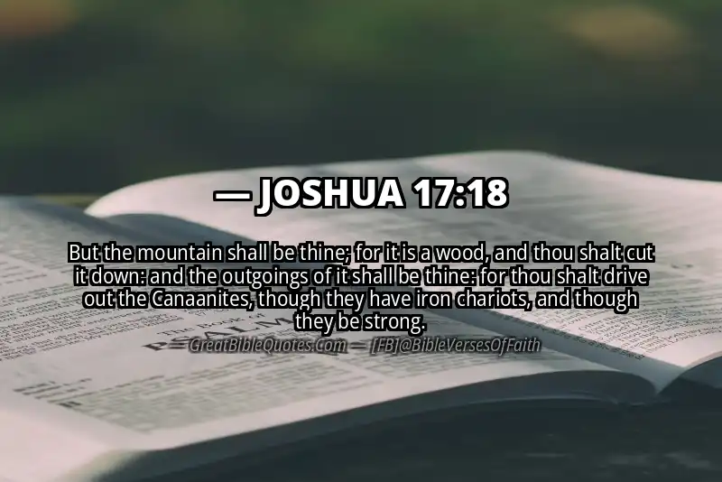 Bible verse: JOSHUA 17:18 Image