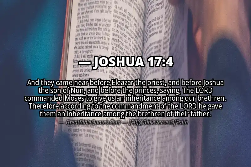 JOSHUA 17:4 Verse