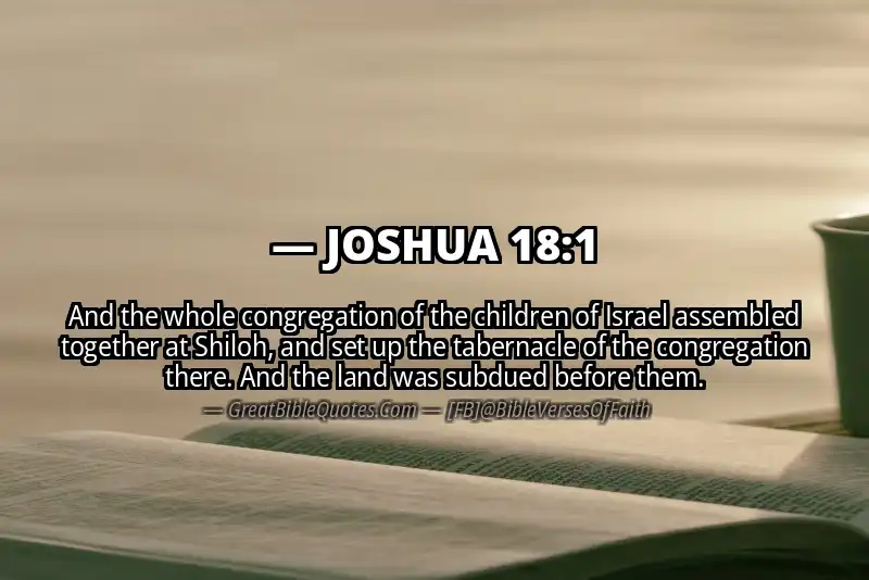Bible verse: JOSHUA 18:1 Image