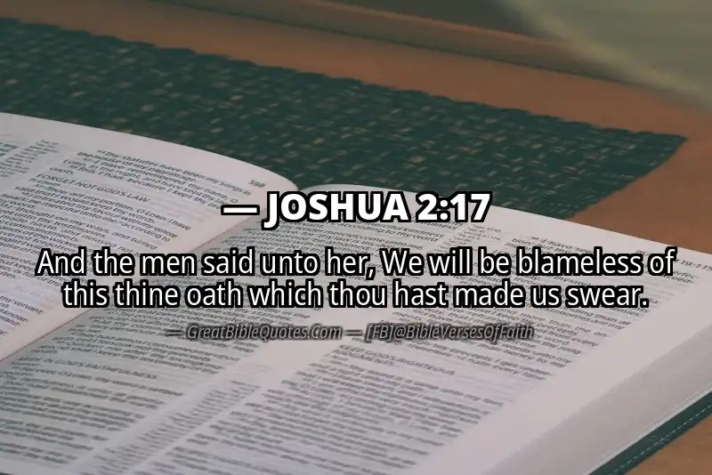 Bible verse: JOSHUA 2:17 Image