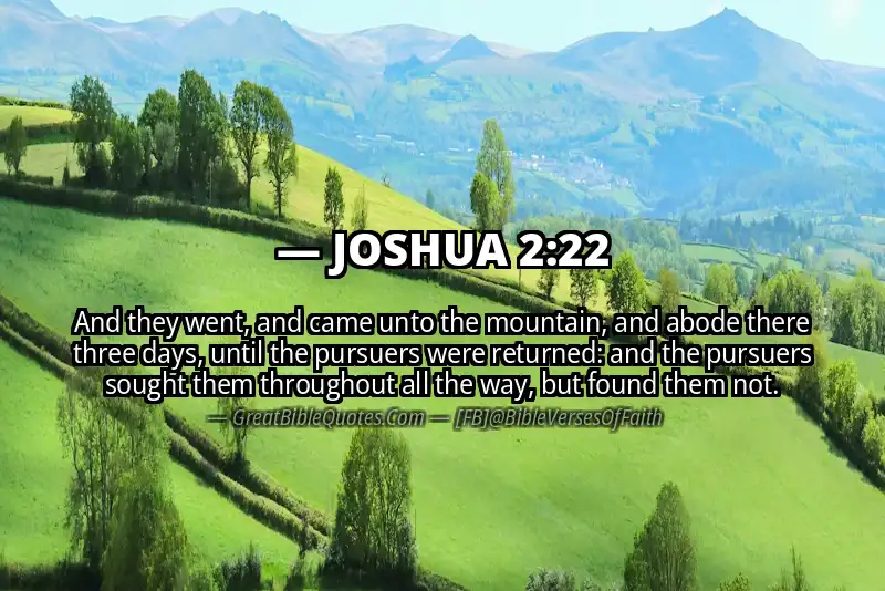 JOSHUA 2:22 Verse