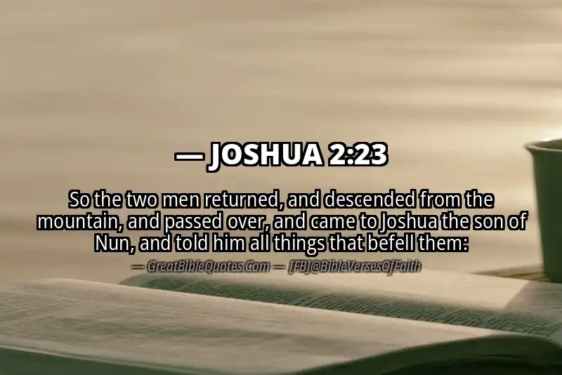JOSHUA 2:23 Verse