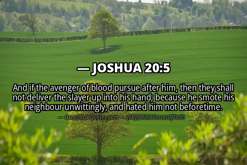 Bible verse: JOSHUA 20:5 Image