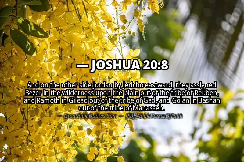 JOSHUA 20:8 Verse
