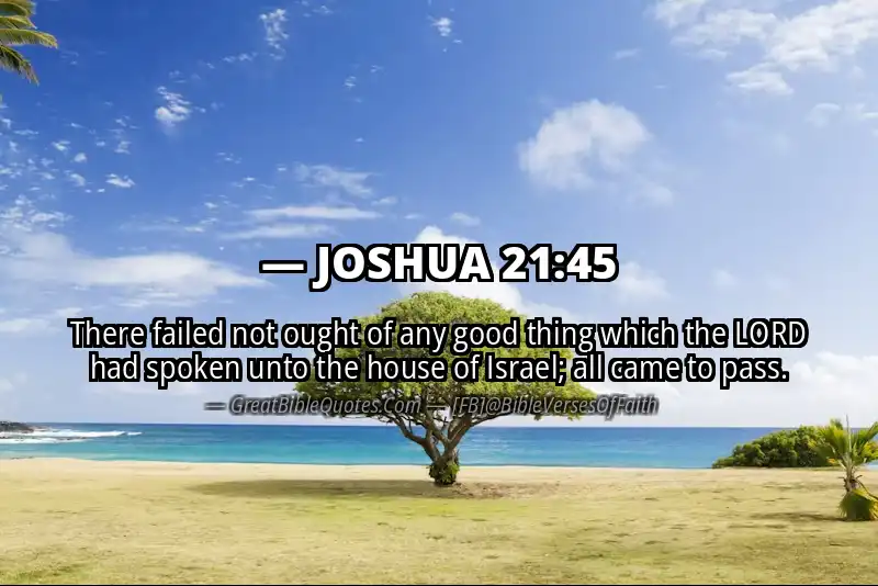 JOSHUA 21:45 Verse