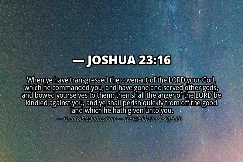Bible verse: JOSHUA 23:16 Image