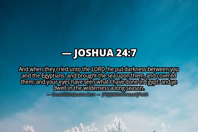 Bible verse: JOSHUA 24:7 Image
