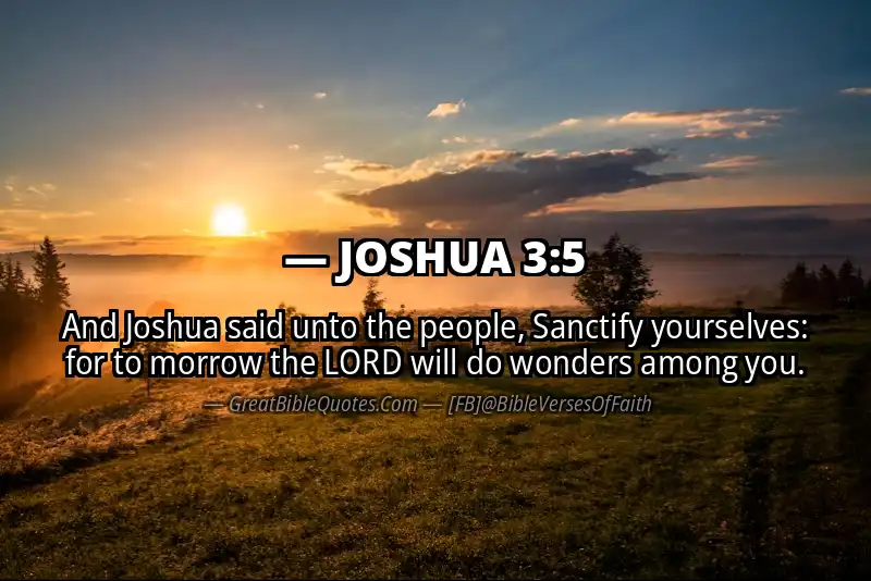 Bible verse: JOSHUA 3:5 Image