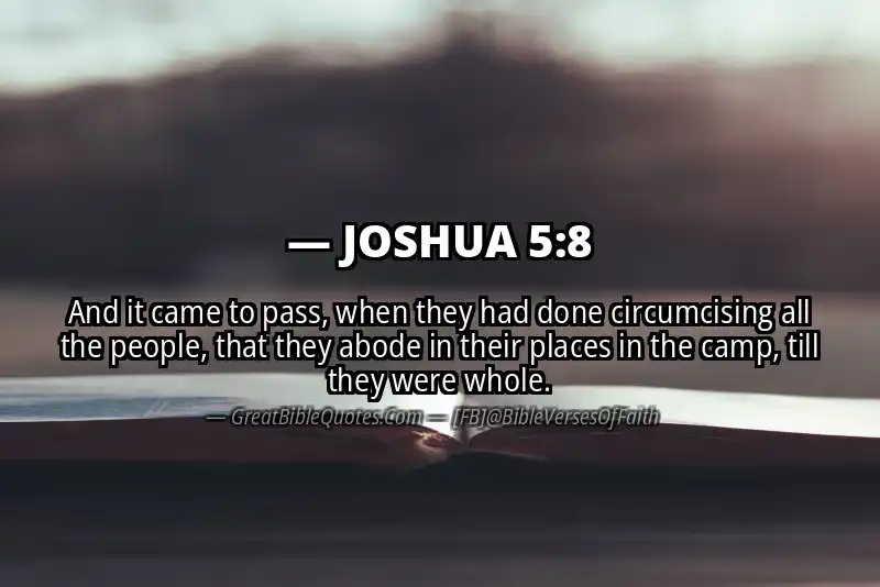 Bible verse: JOSHUA 5:8 Image