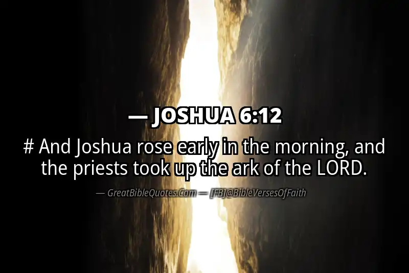 Bible verse: JOSHUA 6:12 Image