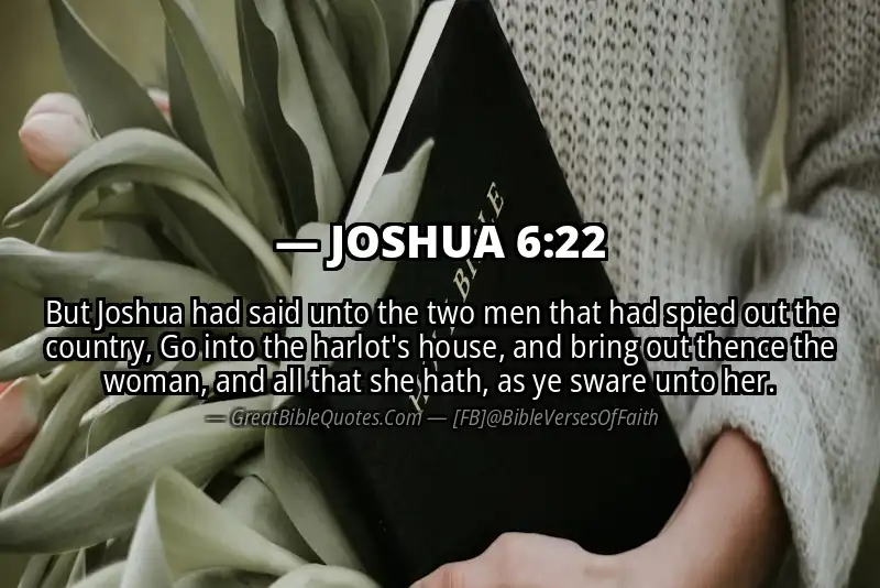 Bible verse: JOSHUA 6:22 Image