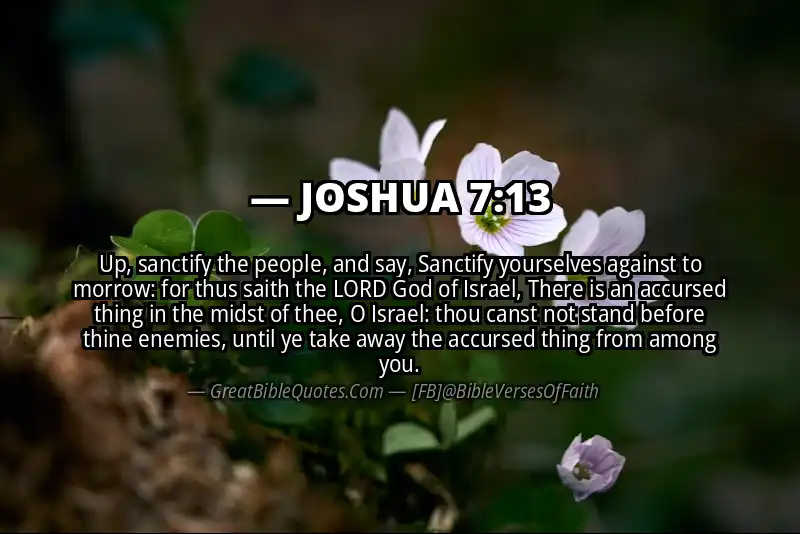 Bible verse: JOSHUA 7:13 Image