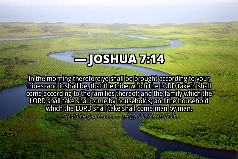 Bible verse: JOSHUA 7:14 Image