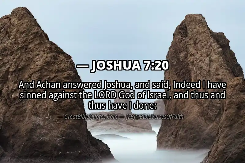 Bible verse: JOSHUA 7:20 Image