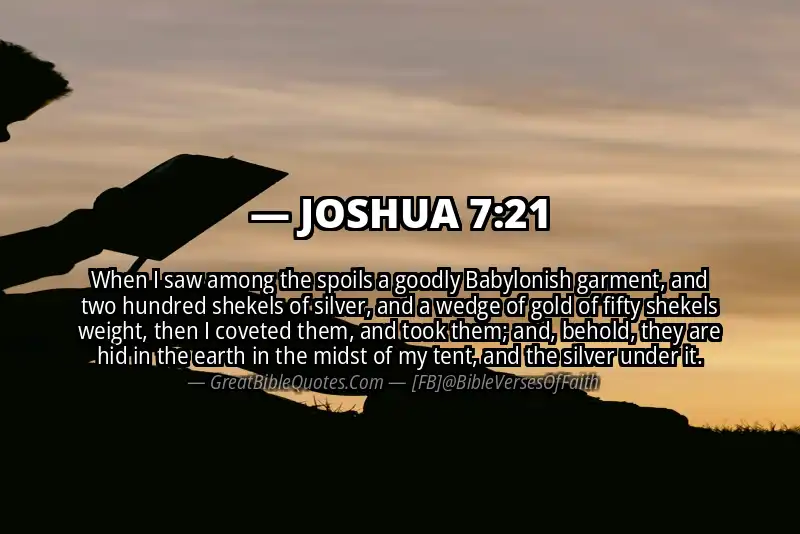 Bible verse: JOSHUA 7:21 Image