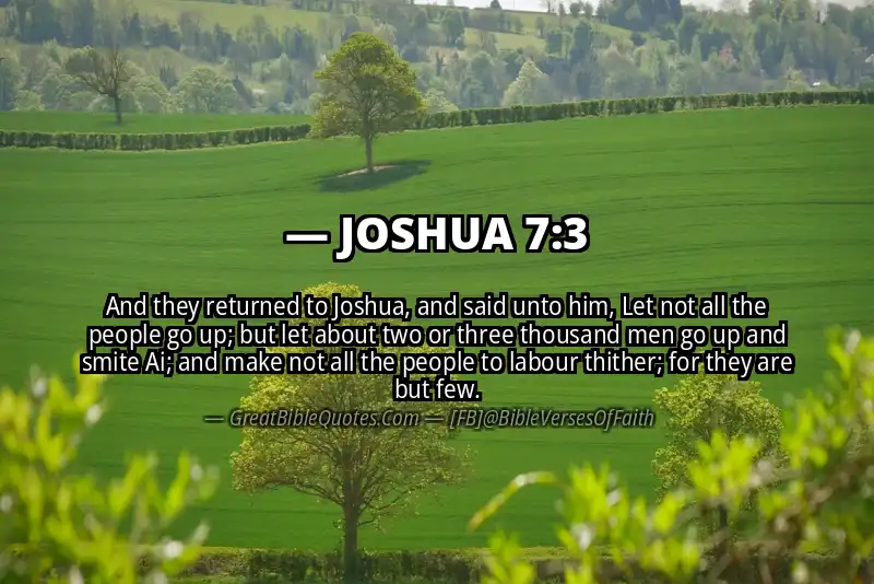 Bible verse: JOSHUA 7:3 Image