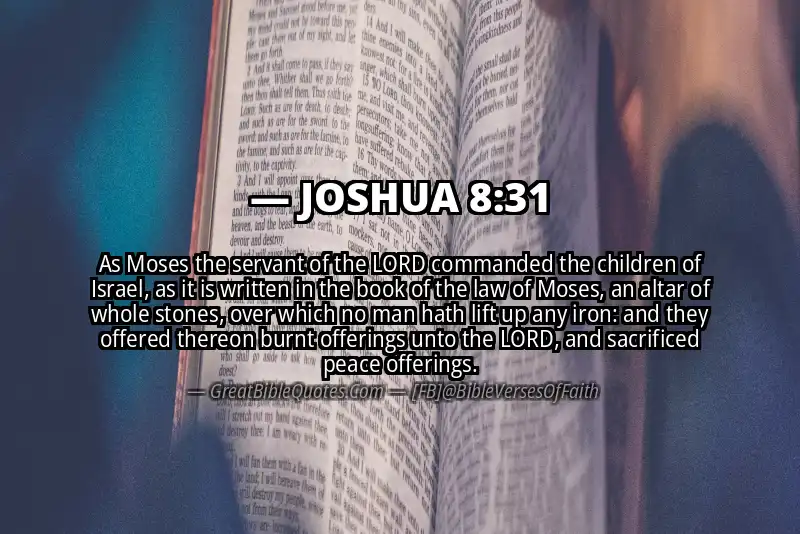 JOSHUA 8:31 Verse