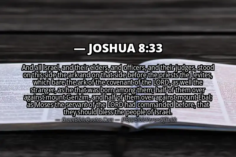 JOSHUA 8:33 Verse