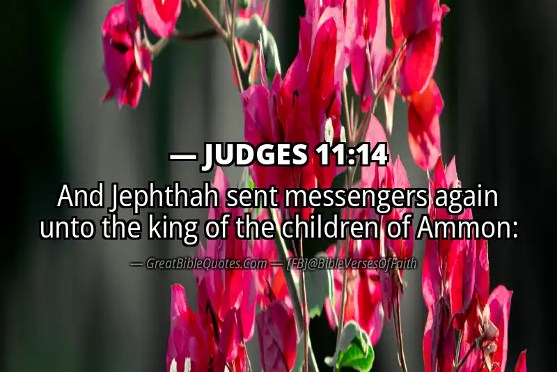 JUDGES 11:14 Verse