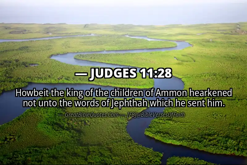 JUDGES 11:28 Verse