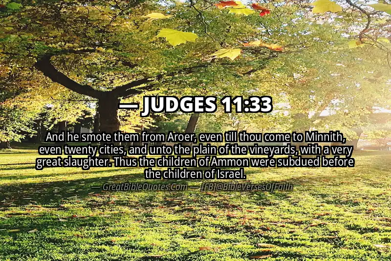 JUDGES 11:33 Verse