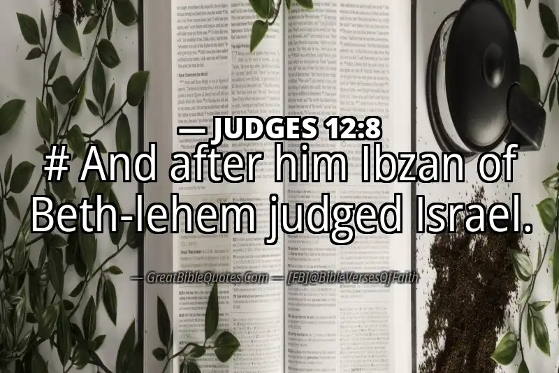 JUDGES 12:8 Verse