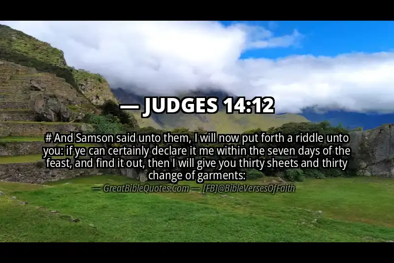 JUDGES 14:12 Verse