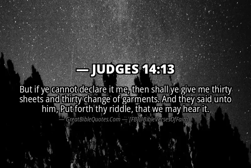 JUDGES 14:13 Verse