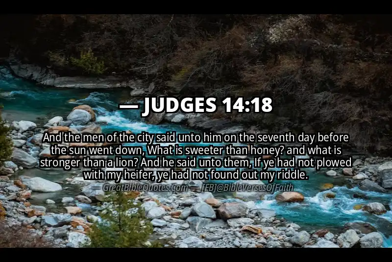 JUDGES 14:18 Verse