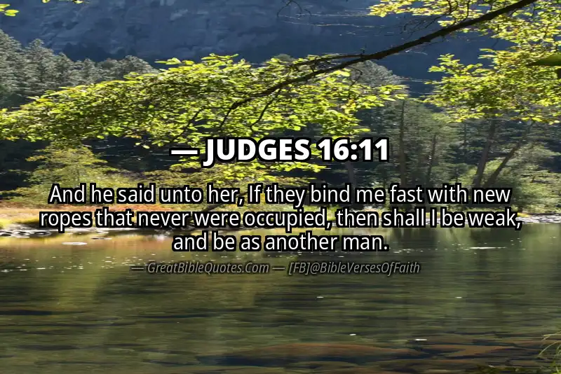 JUDGES 16:11 Verse