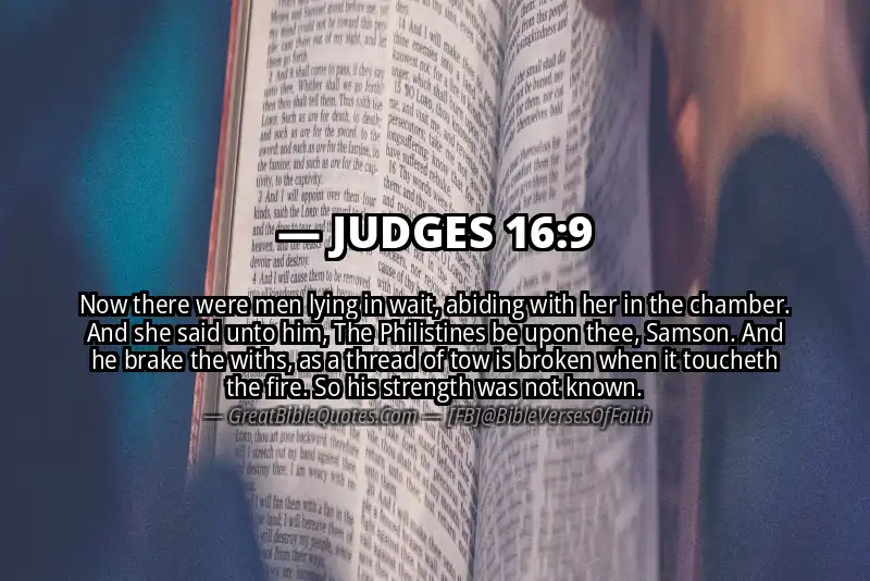 JUDGES 16:9 Verse
