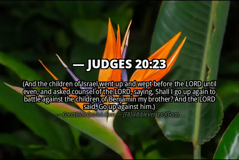 JUDGES 20:23 Verse