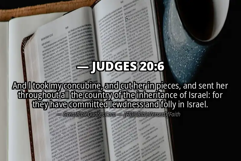 JUDGES 20:6 Verse Image