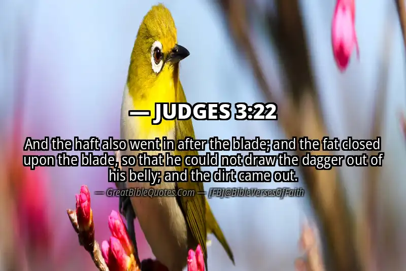 Bible verse: JUDGES 3:22 Image