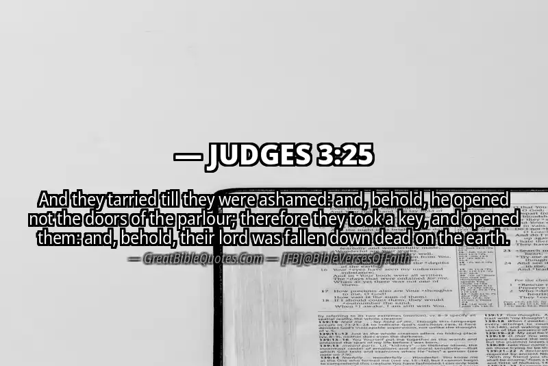 Bible verse: JUDGES 3:25 Image