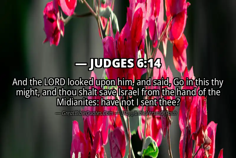 JUDGES 6:14 Verse