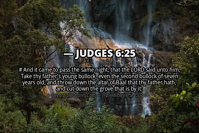 JUDGES 6:25 Verse