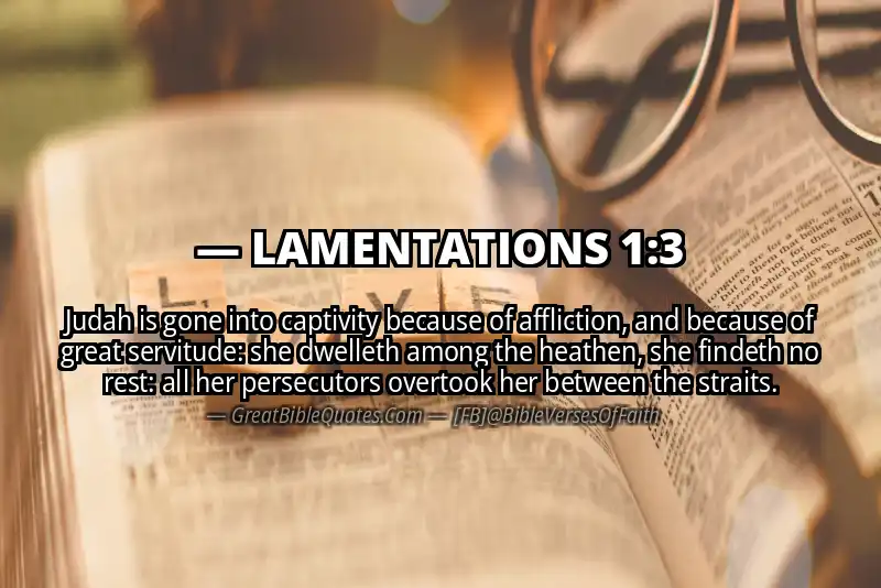 Bible verse: LAMENTATIONS 1:3 Image