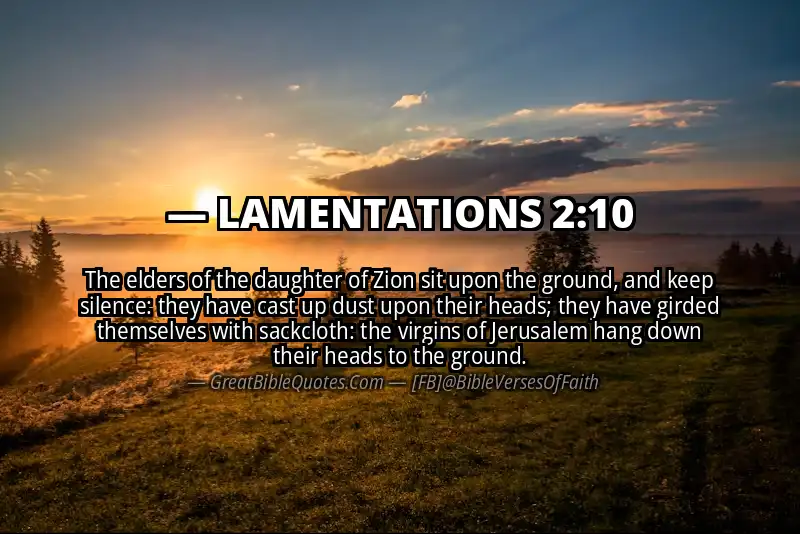 Bible verse: LAMENTATIONS 2:10 Image