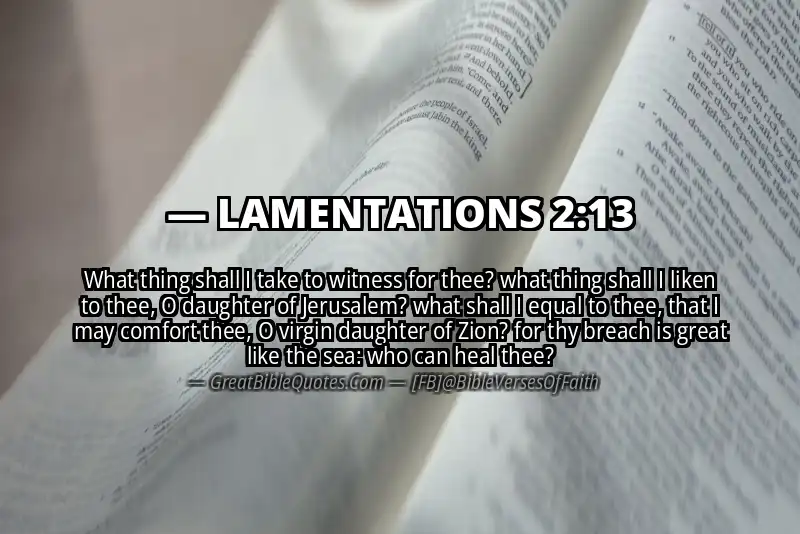 LAMENTATIONS 2:13 Verse