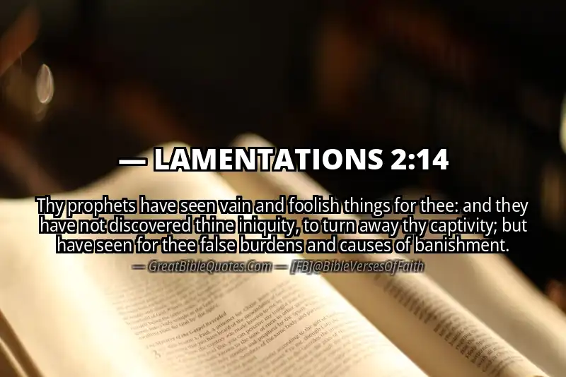 LAMENTATIONS 2:14 Verse
