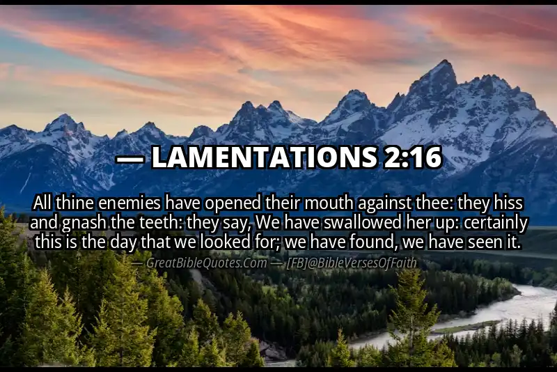 LAMENTATIONS 2:16 Verse