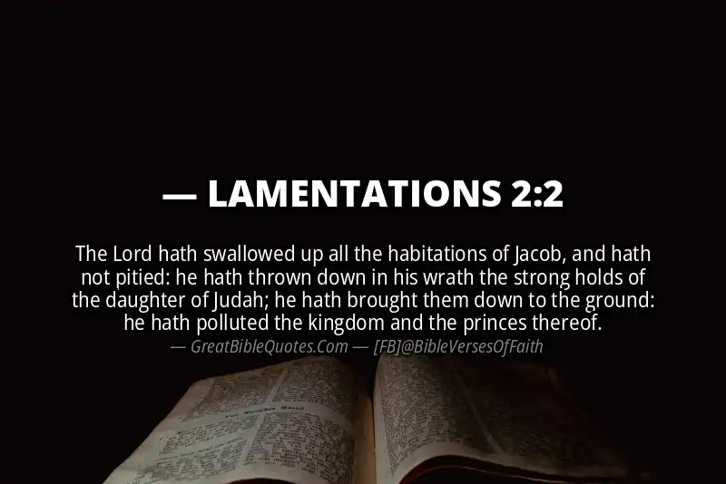 Bible verse: LAMENTATIONS 2:2 Image