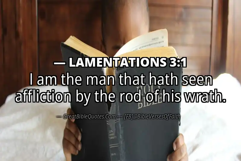 Bible verse: LAMENTATIONS 3:1 Image
