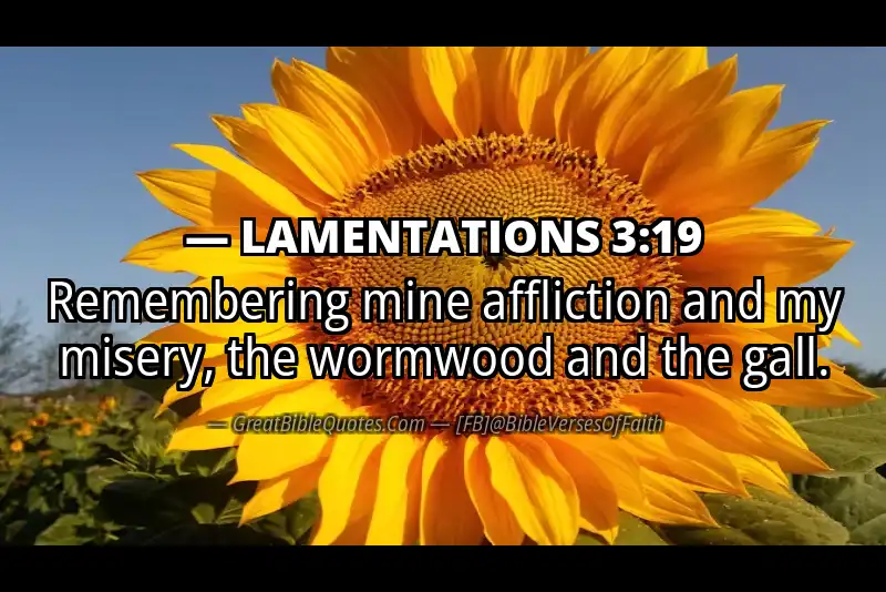 LAMENTATIONS 3:19 Verse