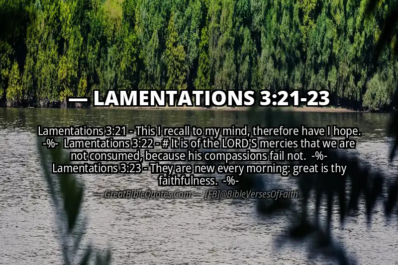 Image for LAMENTATIONS 3:21-23 Bible verse