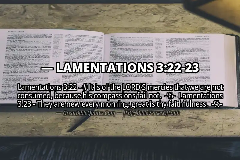 Image for LAMENTATIONS 3:22-23 Bible verse
