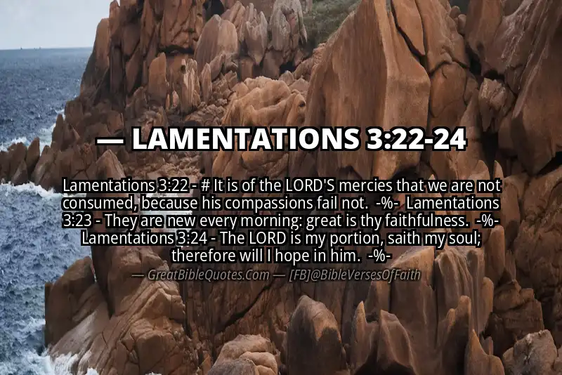 Image for LAMENTATIONS 3:22-24 Bible verse