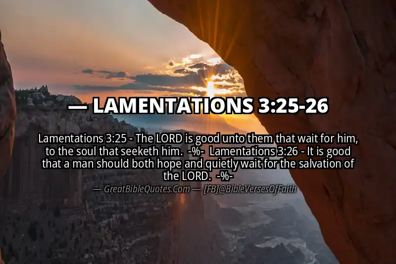 Image for LAMENTATIONS 3:25-26 Bible verse